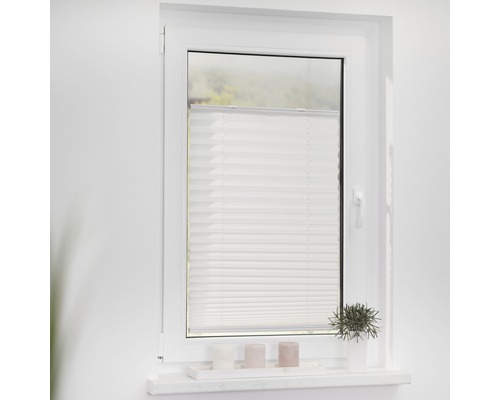 Fenster mit Plissee-Faltstore zur Lichtregulierung