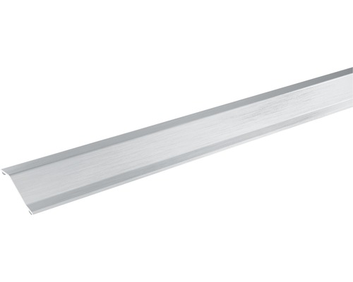 SKANDOR Anpassungsprofil silber eloxiert selbstklebend 10x30x900 mm Regalträger aus Metall