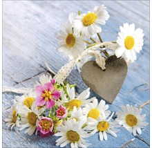 Glasbild Marguerite II 30x30 cm GLA1284