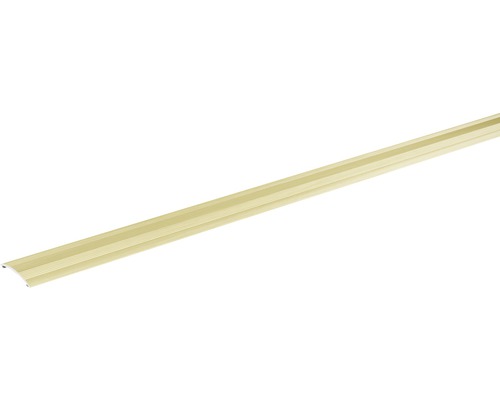 SKANDOR Anpassungsprofil champagner eloxiert selbstklebend 4x28x900 mm Bodenprofil aus Metall