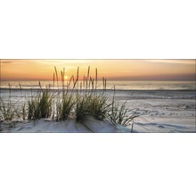 Strandlandschaft mit Gras und Sonnenuntergang