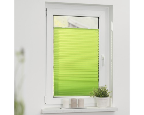 Grüne Plisseeanlage am Fenster zur Beschattung und Dekoration