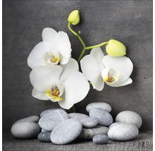 Orchidee mit Flusssteinen