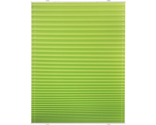 Grüne Faltstore für Fenster