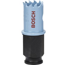 Lochsäge Bosch Sheet Metal BiM 19mm
