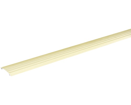SKANDOR Anpassungsprofil champagner eloxiert selbstklebend 4,5x40x900 mm Bodenprofil aus Metall