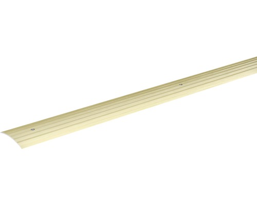 SKANDOR Anpassungsprofil champagner eloxiert gelocht 4,5x40x900 mm Metallisches Übergangsprofil mit Schrauben