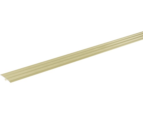SKANDOR Anpassungsprofil champagner eloxiert inkl. Dübel 2,5x34x900 mm SKANDOR Anpassungsprofil champagner eloxiert inkl. Dübel 2,5x34x900 mm