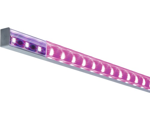 LED-Pflanzenlampe zur Pflanzenaufzucht