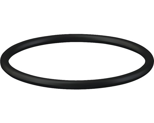 O-Ring 29x2,5 mm veporit. passend für Ablaufventil