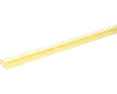 SKANDOR Einfassprofil champagner eloxiert für 8-9 mm Böden 11x29x900 mm SKANDOR Einfassprofil champagner eloxiert für 8-9 mm Böden 11x29x900 mm