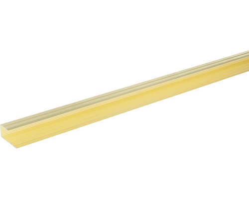 SKANDOR Einfassprofil champagner eloxiert für 10-11 mm Böden 13x29x900 mm SKANDOR Einfassprofil champagner eloxiert für 10-11 mm Böden 13x29x900 mm