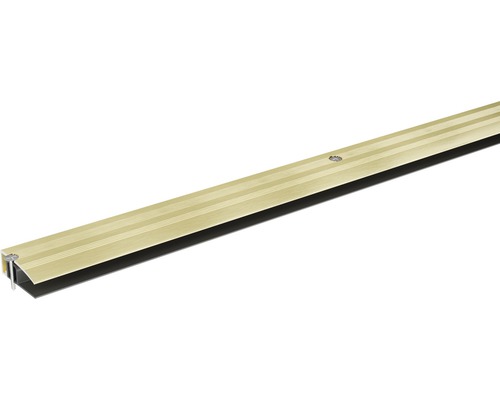 SKANDOR Abschlussprofil champagner eloxiert Schraubprofil 12,5x30x930 mm Türdichtungsprofil aus Metall mit Befestigungsschrauben