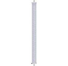 LED-Röhrenleuchte