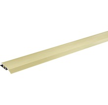 SKANDOR Anpassungsprofil champagner eloxiert inkl. Clipschiene 11x45x900 mm