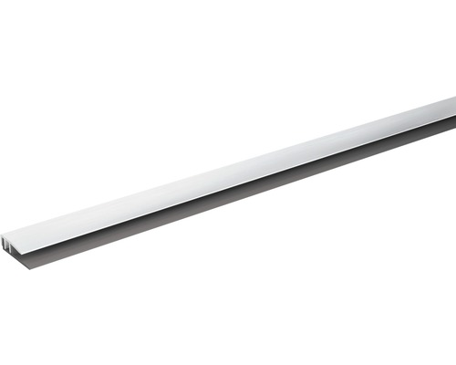 SKANDOR Abschlussprofil silber eloxiert Clipprofil 7x21x900 mm Türdichtungsprofil
