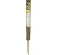 FloraSelf Saatband zur Pflanzung