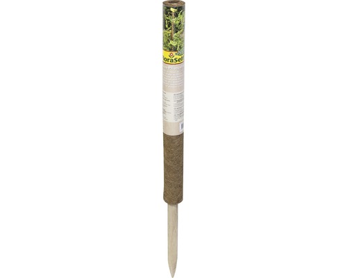Kokosstab Pflanzstab Kokos FloraSelf Nature H 60 cm Ø 40 mm braun, verlängerbar FloraSelf Saatband zur Pflanzung