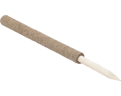 Pflanzenstab aus Holz mit Kokosfaserummantelung