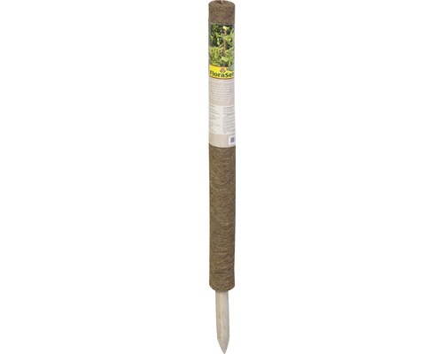 Kokosstab Pflanzstab Kokos FloraSelf Nature H 80 cm Ø 45 mm braun, verlängerbar Kokosmatte auf Rolle