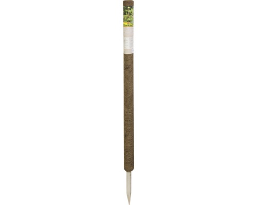 Kokosstab Pflanzstab Kokos FloraSelf Nature H 110 cm Ø 45 mm braun, verlängerbar Floraself Pflanzsäule zur Bodenverbesserung
