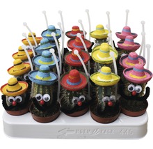Kakteen Mix Mexicaner FloraSelf Ø 5,5 cm Topf zufällige Sortenauswahl