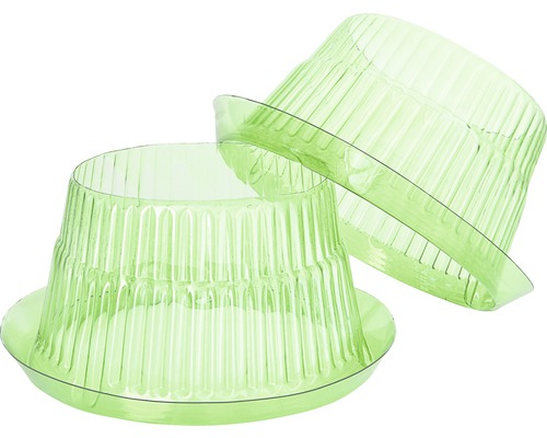 Zwei transparente Pflanzenuntersetzer aus Kunststoff