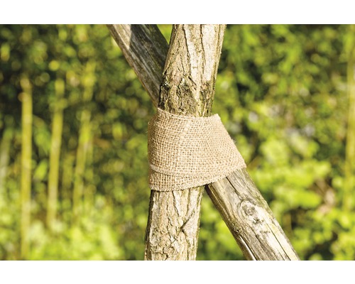 Baumstütze mit Juteband zum Schutz des Baumes