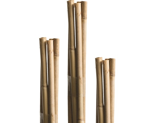 Bambusstab FloraSelf H 90 cm Ø 6 mm braun 10 Stk