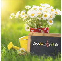 Szene mit Gänseblümchen in einem Topf, Gießkanne und Tafel mit der Aufschrift Sonnenschein