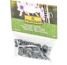 Packung mit zehn Orchideenclips