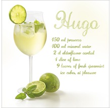 Hugo Cocktail Rezept mit Prosecco, Mineralwasser, Holunderblütensirup, Limette und Minze