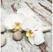 Stillleben mit weißen Orchideenblüten und Steinen auf Holzuntergrund