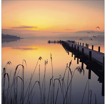 Holzsteg auf einem See bei Sonnenaufgang mit Schilf im Vordergrund.