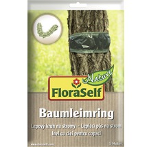 FloraSelf tree ring of glue, five meters