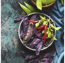 Schale mit violetten Bohnen und roten Chilischoten