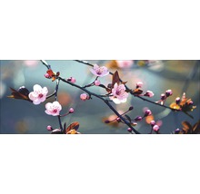 Nahaufnahme eines Zweiges mit rosa Blüten und Knospen