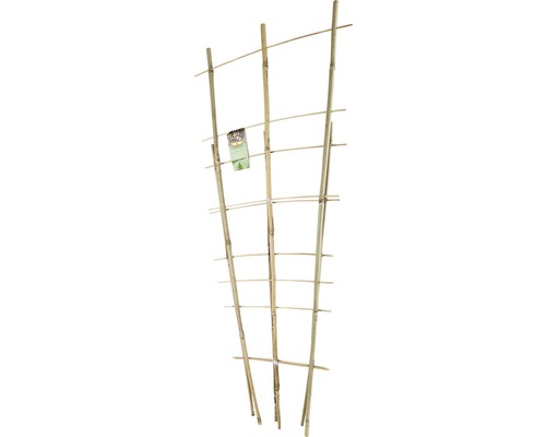 Bambus-Rankbogen Set FloraSelf H 60 + 85 cm 2 Stk Bambus-Rankbogen Set FloraSelf H 60 + 85 cm 2 Stk
