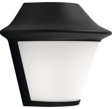 Schwarze Außenwandleuchte mit weißem Diffusor