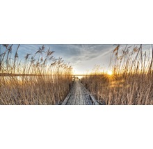 Holzsteg durch Schilf zum See bei Sonnenuntergang