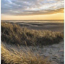 Landschaftsfoto von Küstendünen mit Gras im Vordergrund und Watt im Hintergrund bei Sonnenuntergang.