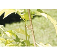 Gartenschnur FloraSelf Jute 250 m