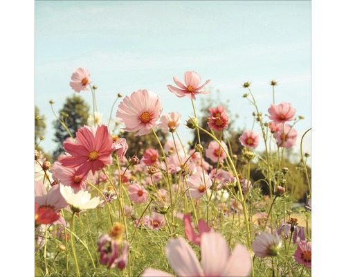 Glasbild Flowerfield 30x30 cm GLA1838