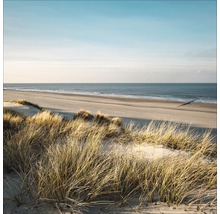Düne mit Strandhafer vor dem Meer unter blauem Himmel