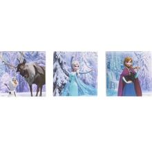 Drei Frozen Motive als Wandschmuck