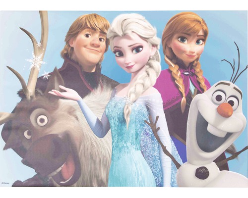 Leinwandbild Disney Frozen Die Eiskönigin Group 50x70 cm | HORNBACH