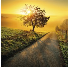 Dämmerungsszene mit Baum an einem Feldweg