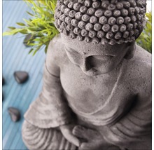 Buddhafigur aus Stein mit Pflanzen und Steinen