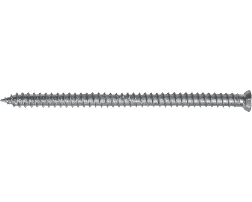 Rahmenschraube Tox Window Pro SK 7,5x112 mm, 100 Stück Eine einzelne Schraube im Detail.