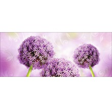 Nahaufnahme von Zierlauchblüten auf floralem Hintergrund